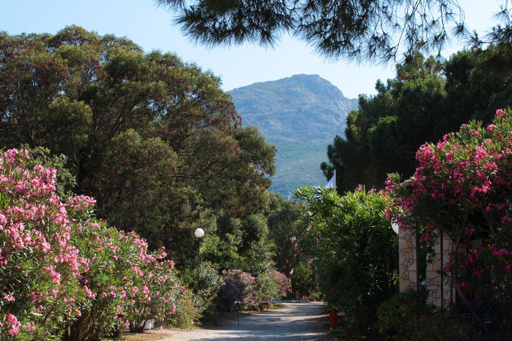 Camping Bella Vista Otel Calvi  Dış mekan fotoğraf